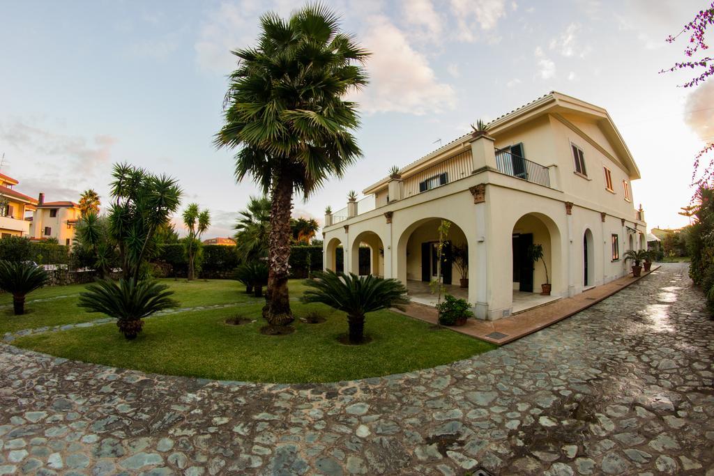 Glicini 3*